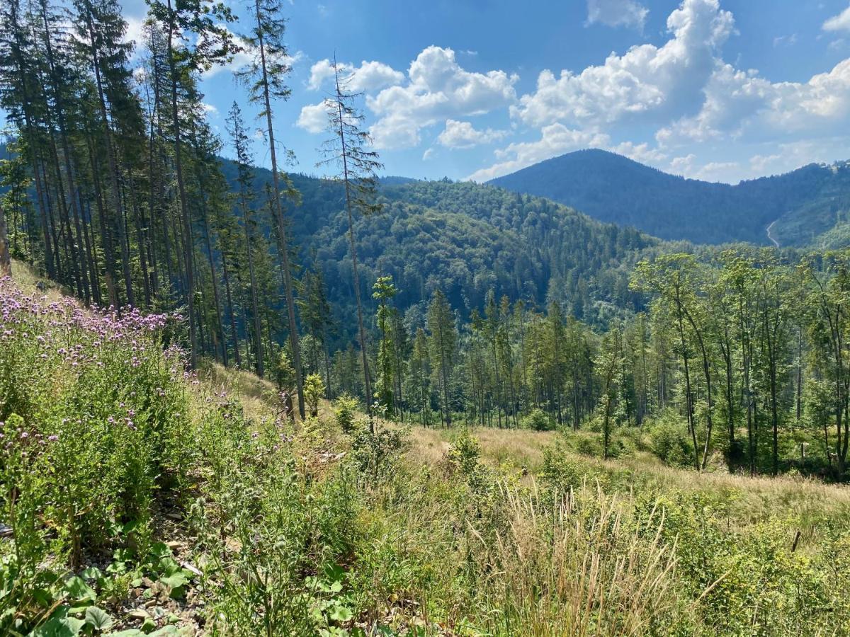Сasa de vacaciones Ostoja Rycerka Rycerka Gorna