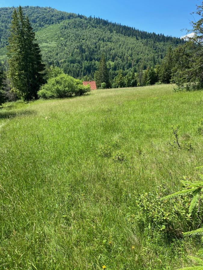 Ostoja Rycerka Rycerka Gorna